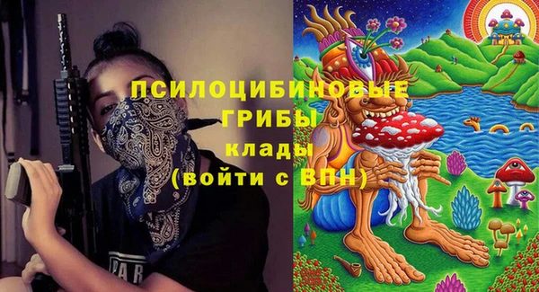 прущие грибы Кострома