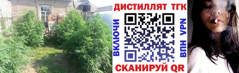 Дистиллят ТГК концентрат Брюховецкая