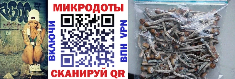 Псилоцибиновые грибы Cubensis  Брюховецкая 