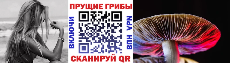 Галлюциногенные грибы GOLDEN TEACHER Брюховецкая